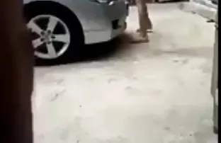 video porn Brunette Dreilochschlampe gagged and fucked