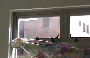 video porn Cumshots and sperm cumshot