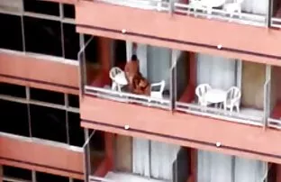 video porn Mature sluts know what young dicks need