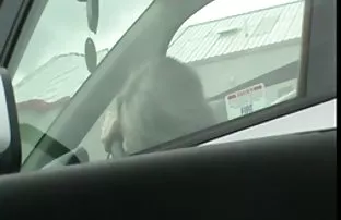 video porn Blonde amateur mother Julia Pink has arranged to have sex with German users